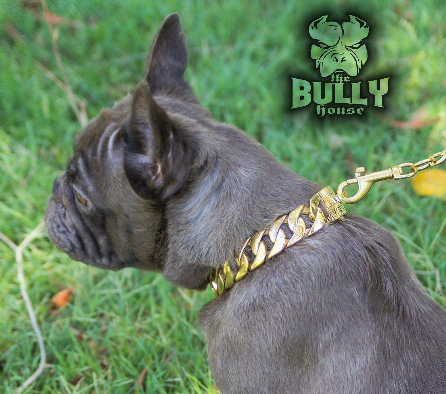 The Bully House " - MINI - MONSTER CHAIN Collection" SILVER -- 25mm Wide