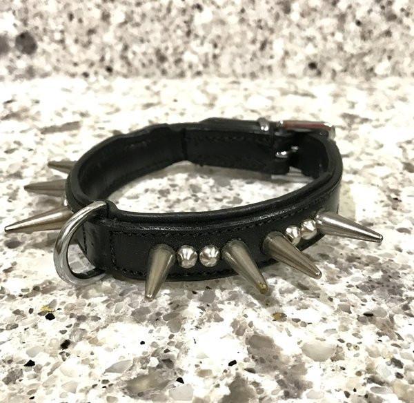 Dog Collar - "TinyTuff" Spiked Leather Collar (SMALL DOG or PUPPY)-- ROGUE ROYALTY (clearance) BLACK