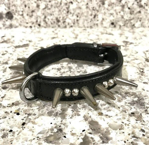 Dog Collar - "TinyTuff" Spiked Leather Collar (SMALL DOG or PUPPY)-- ROGUE ROYALTY (clearance) BLACK