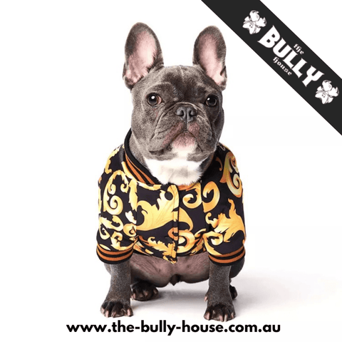 F - Designer - Dog Sweater - COFFEE Colour