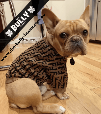 V - Designer - Dog Jacket - BLACK & GOLD