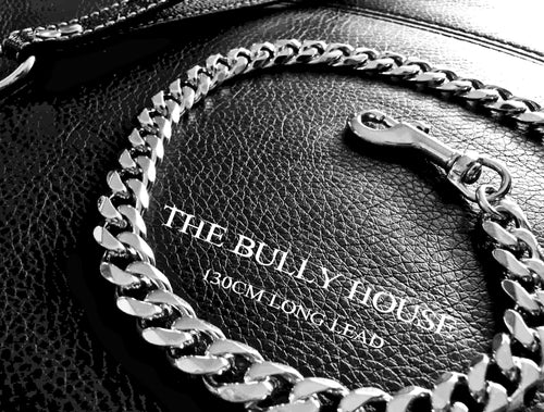 The Bully House "LEASH Collection" SILVER 18mm Wide - 130CM LONG