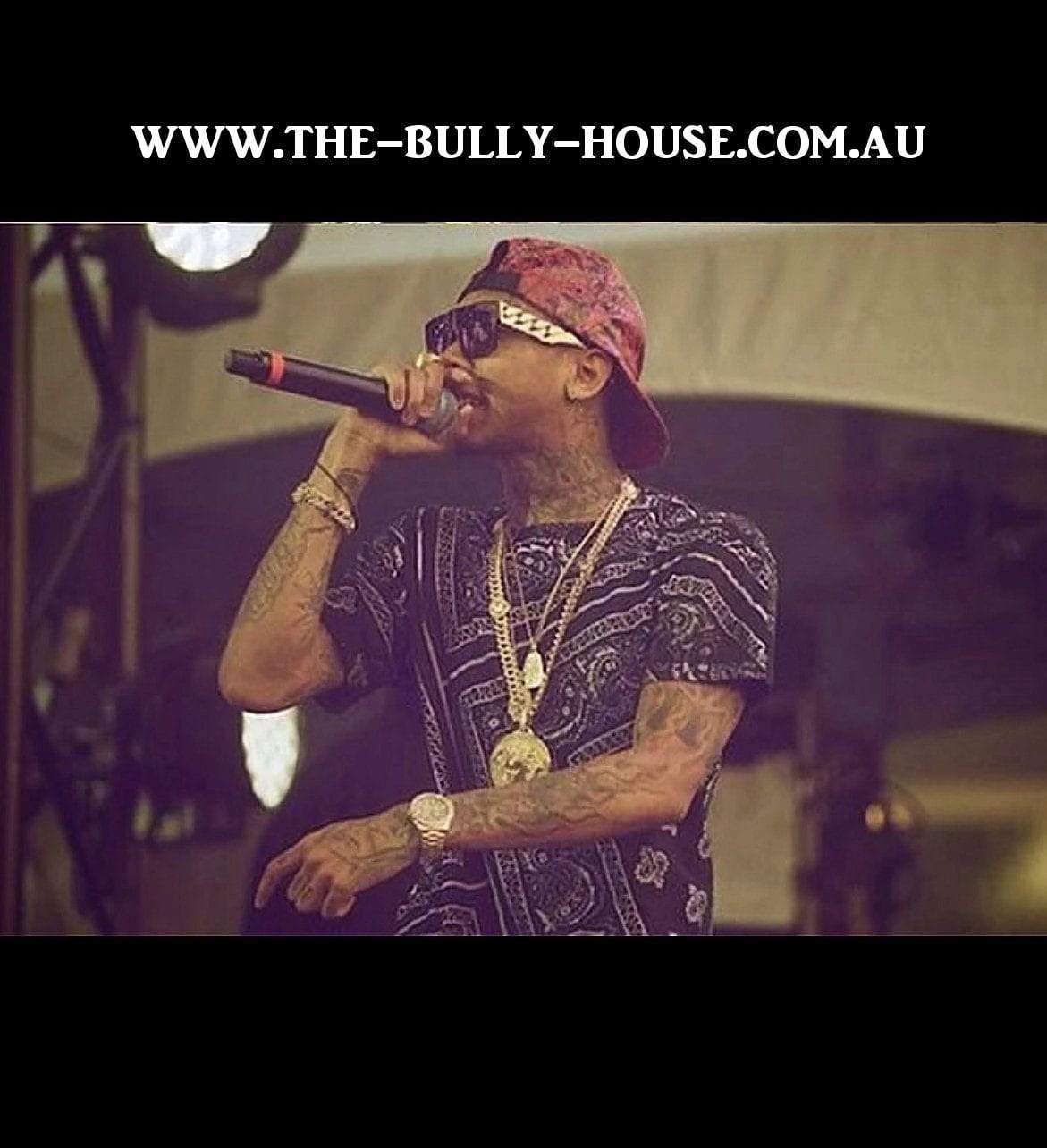 CUBAN LINK Sunglasses - Gold / Black - Unisex - by -THE BULLY HOUSE