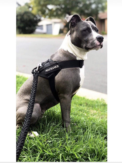 GAME TIGHT - NYLON WOVEN LEASH