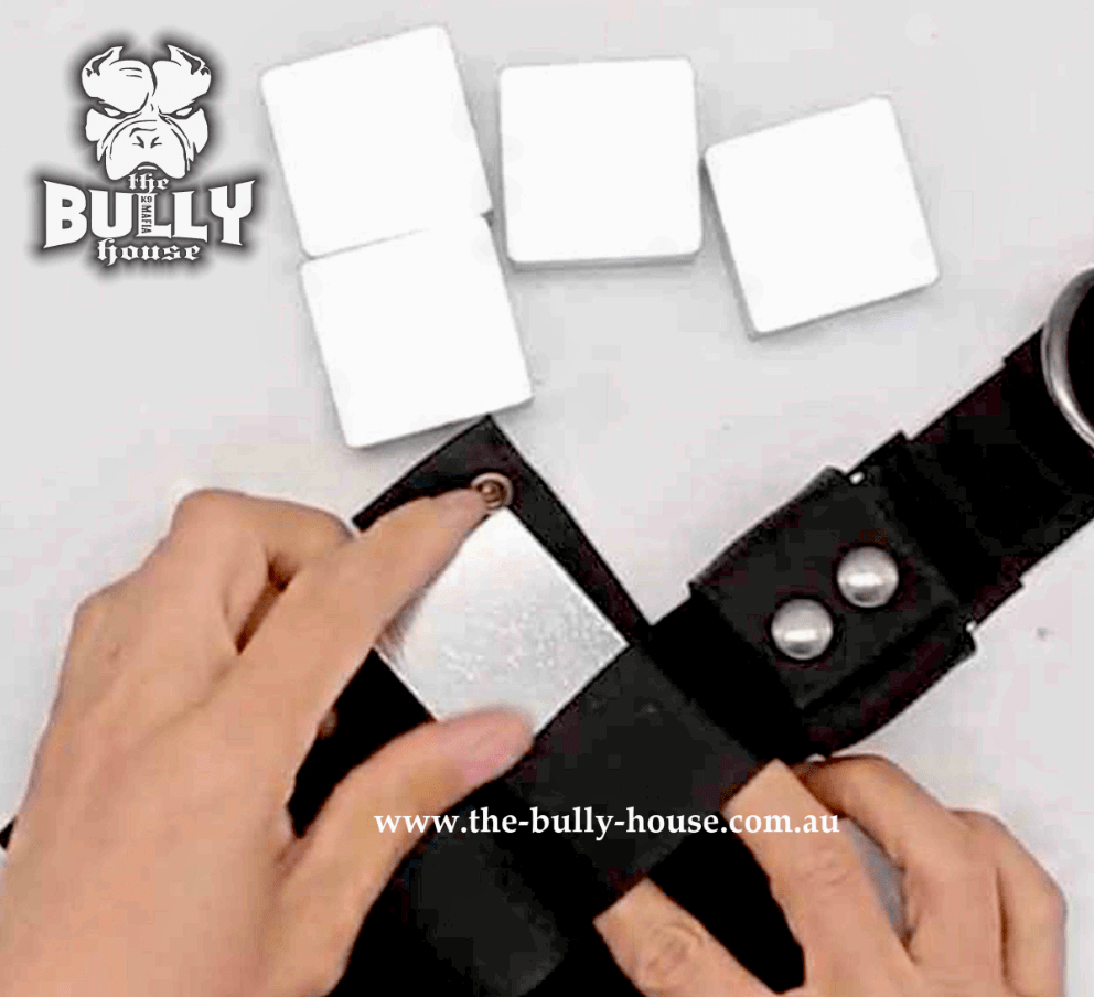 Weights - INGOTS BLOCKS - for Weight Dog Collar - The Bully House