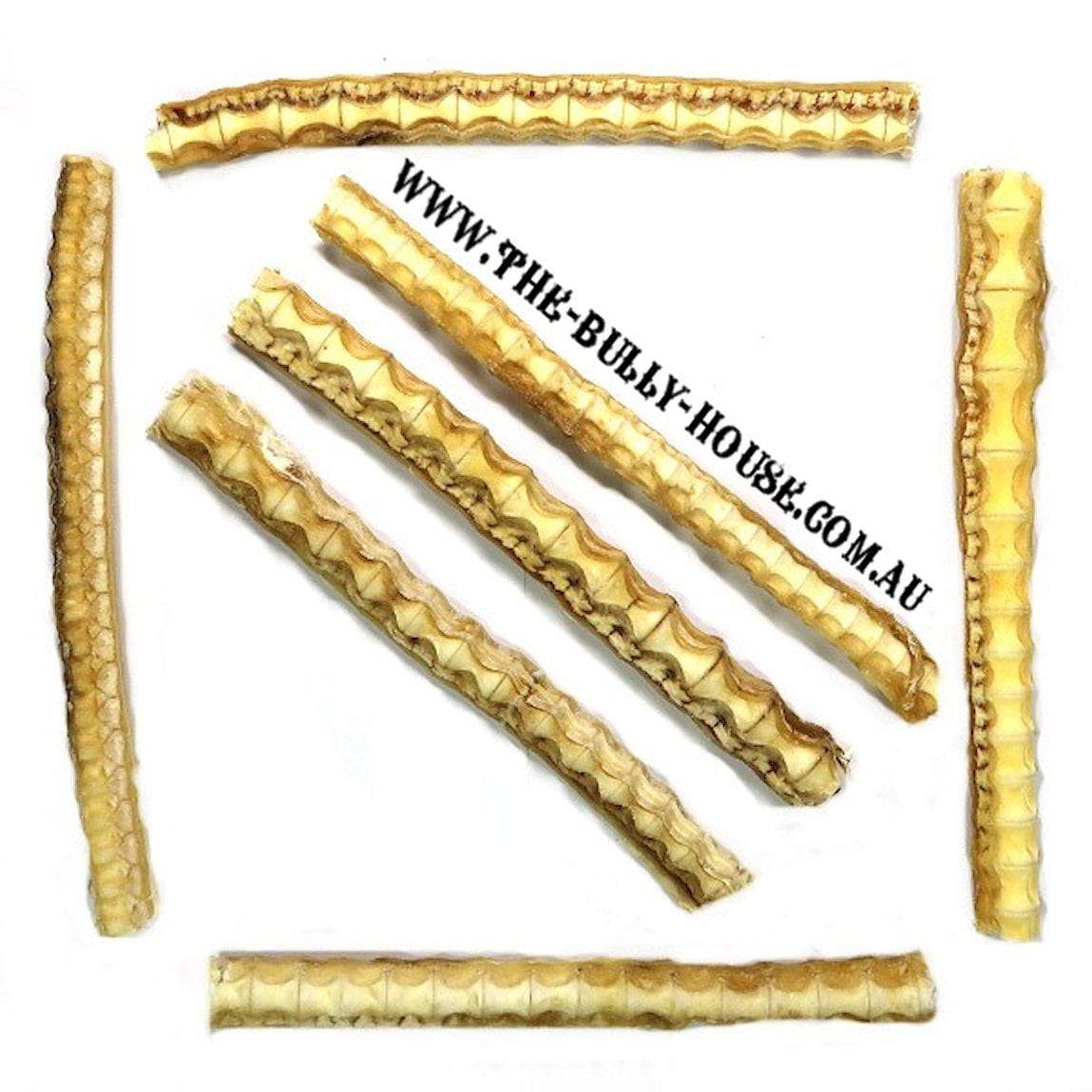 Shark Spine Cartilage - Crunch time - Dog Nutrition