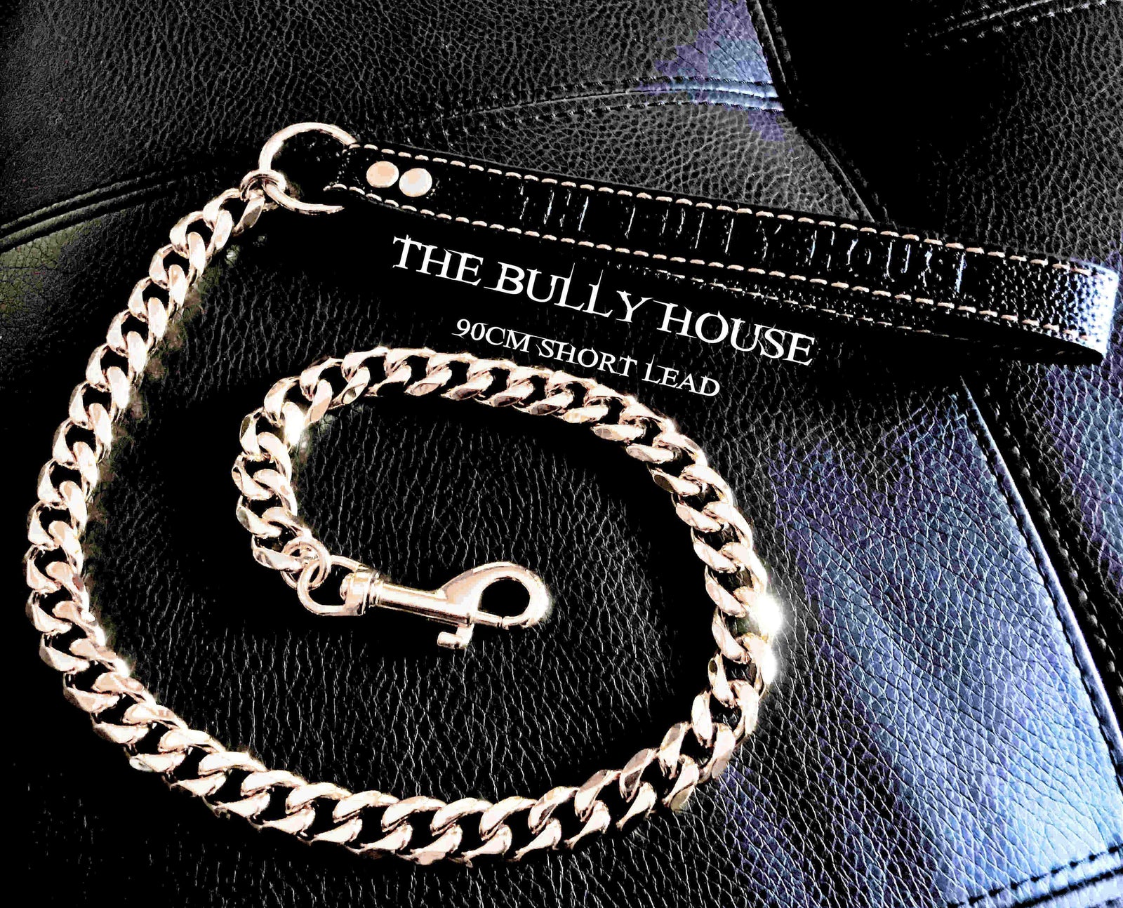 The Bully House "LEASH Collection" SILVER 18mm Wide - 90CM