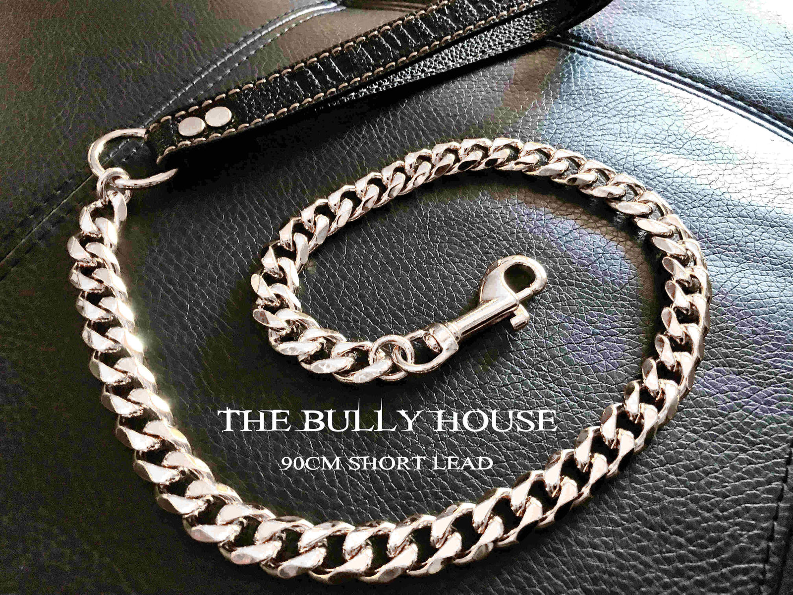 The Bully House "LEASH Collection" SILVER 18mm Wide - 90CM