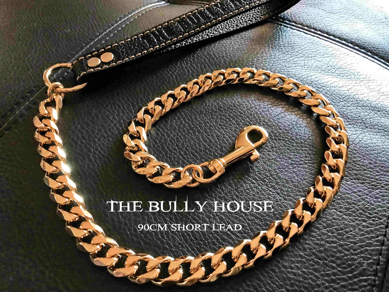 The Bully House "LEASH Collection" GOLD 18mm Wide - 90CM