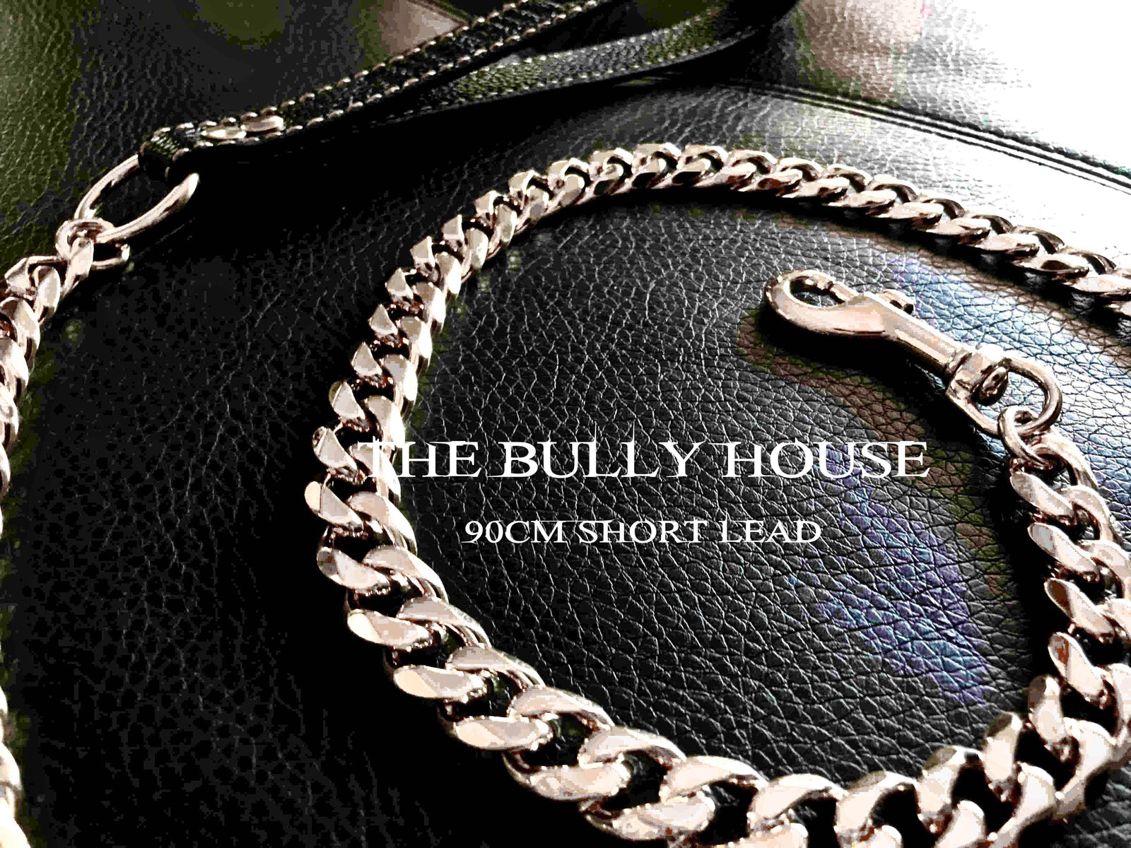 The Bully House "LEASH Collection" SILVER 18mm Wide - 90CM