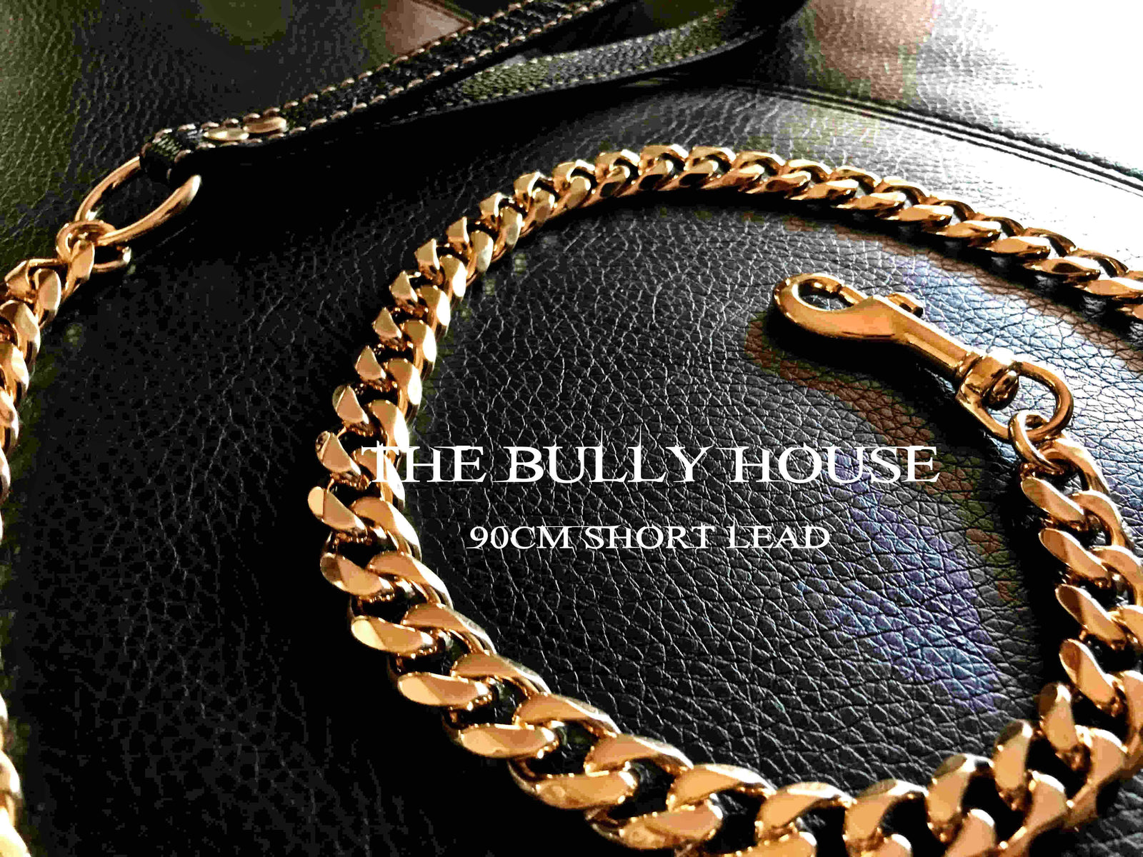 The Bully House "LEASH Collection" GOLD 18mm Wide - 90CM