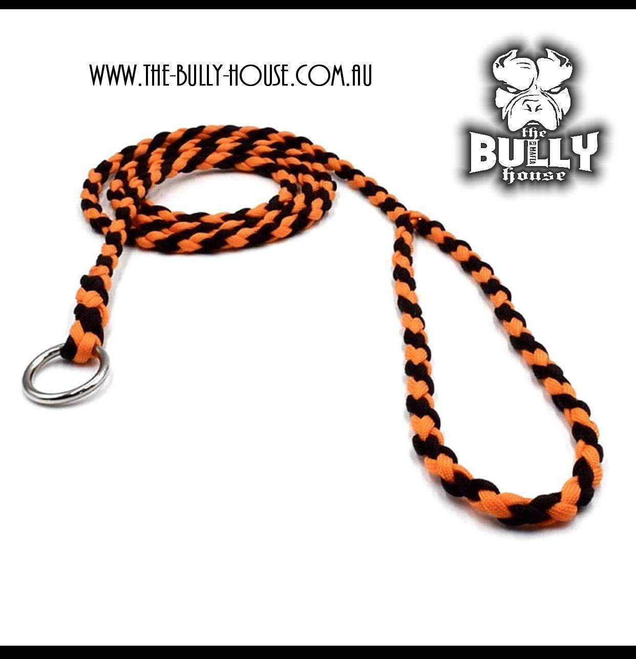 Paracord SLIP LEAD / LEASH (Black and Orange)