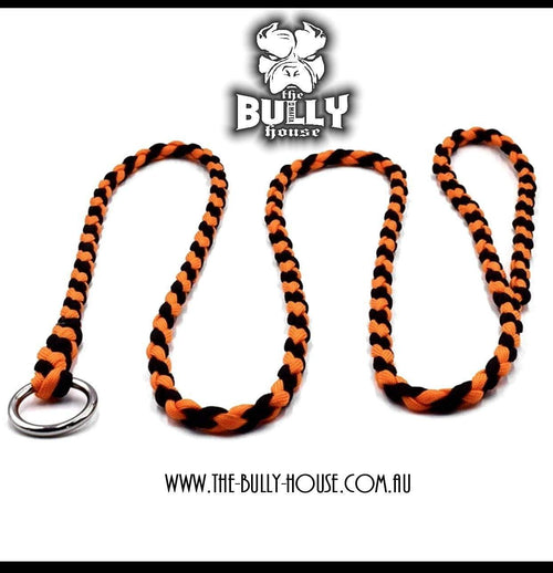 Paracord SLIP LEAD / LEASH (Black and Orange)