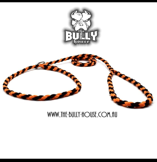Paracord SLIP LEAD / LEASH (Black and Orange)