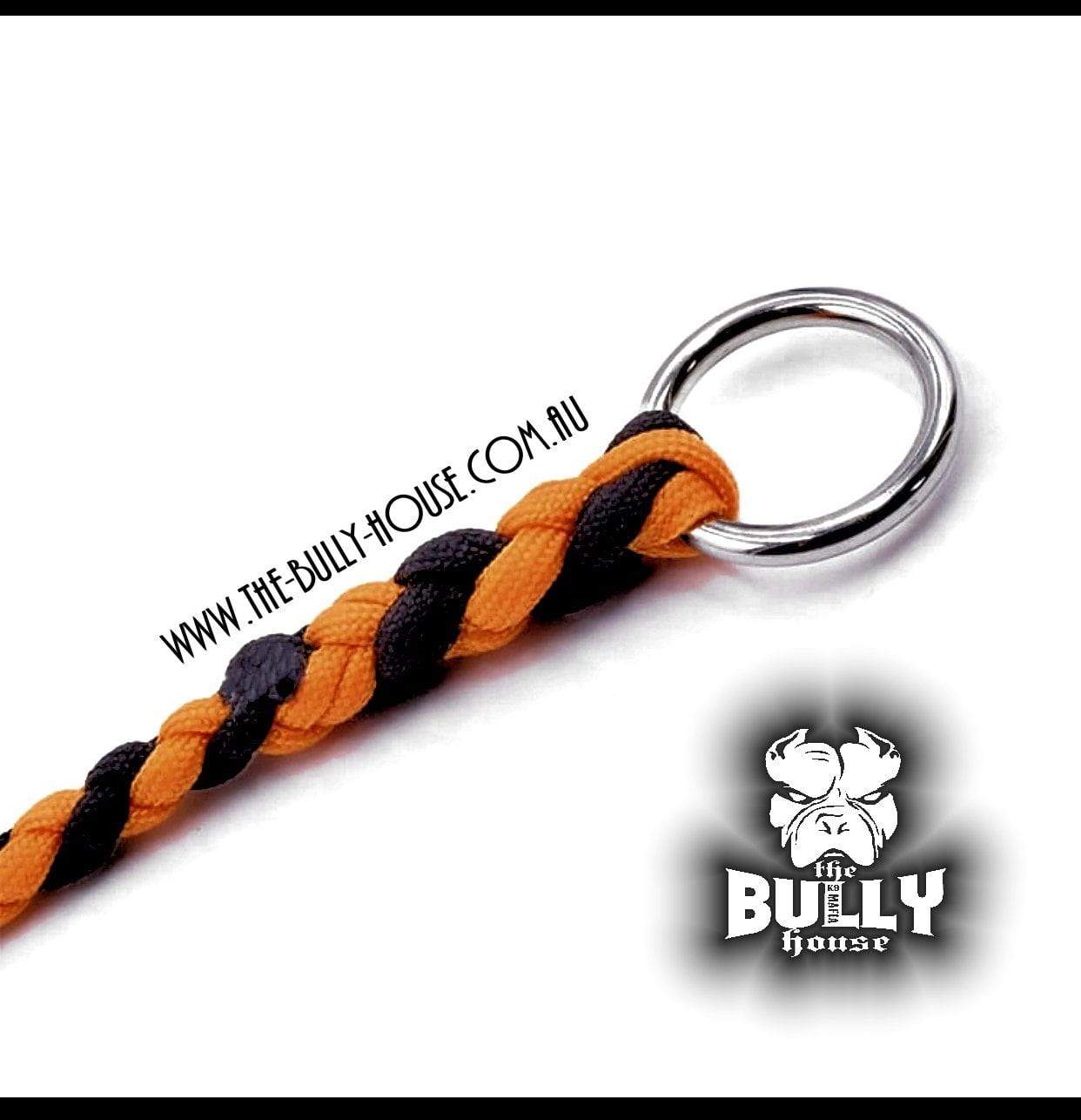 Paracord SLIP LEAD / LEASH (Black and Orange)
