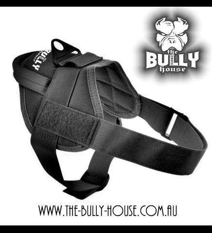 Weights - INGOTS BLOCKS - for Weight Dog Collar - The Bully House