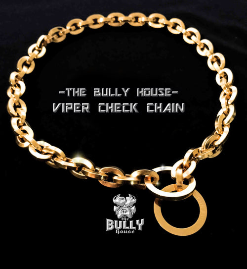 VIPER- CHECK CHAIN Collection" GOLD 16mm Wide - by the bully house