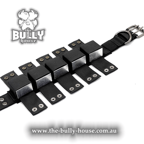 Weights - INGOTS BLOCKS - for Weight Dog Collar - The Bully House