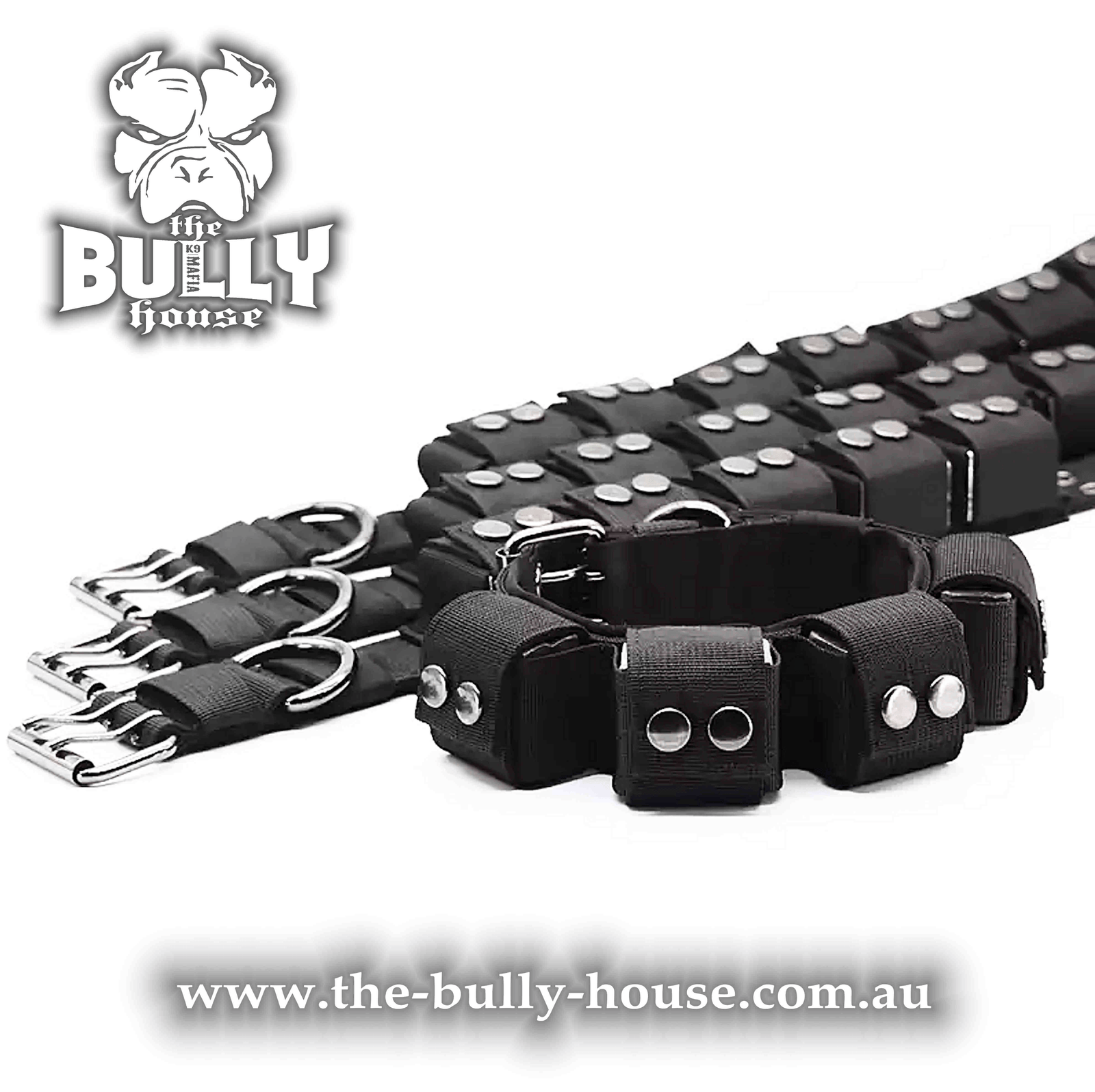 Weight Dog Collar - The Bully House
