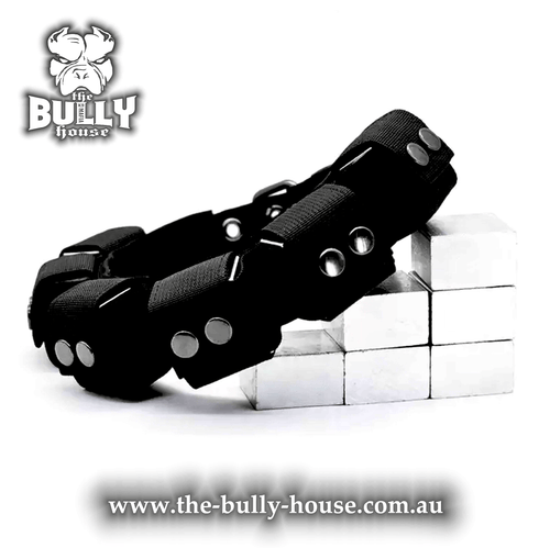 Weights - INGOTS BLOCKS - for Weight Dog Collar - The Bully House