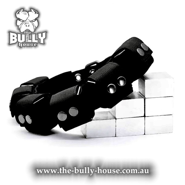 The BULLY HOUSE Australia // Wariaz Edge - Hot 🔥DESIGNER Dog Collar + Leash  Combo🔥 *only very minimal amount left* Get ur k9 baby the full leather LV  SET ( Oz stock ) (