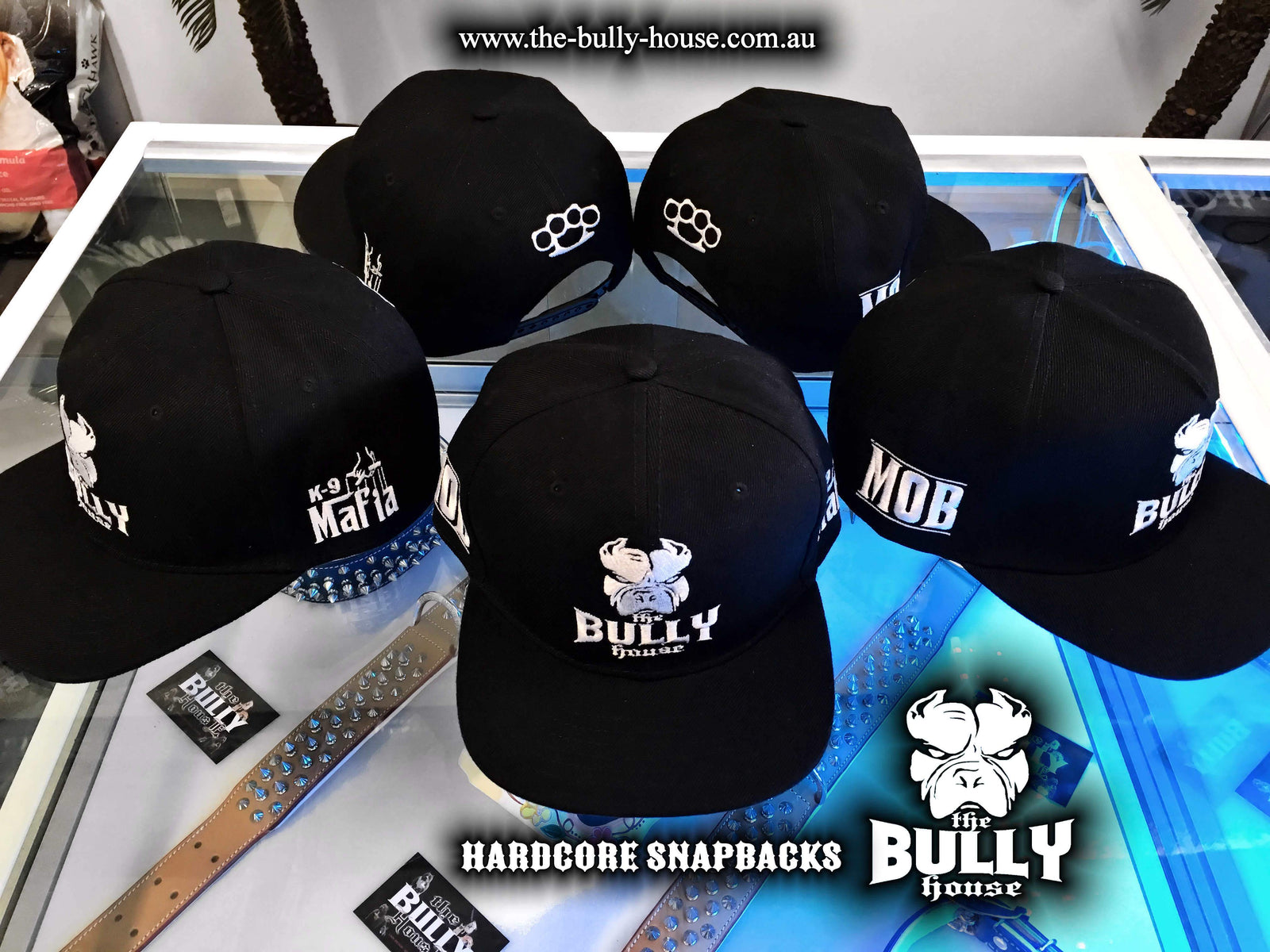 The Bully House - HARDCORE SNAPBACK - CAPS