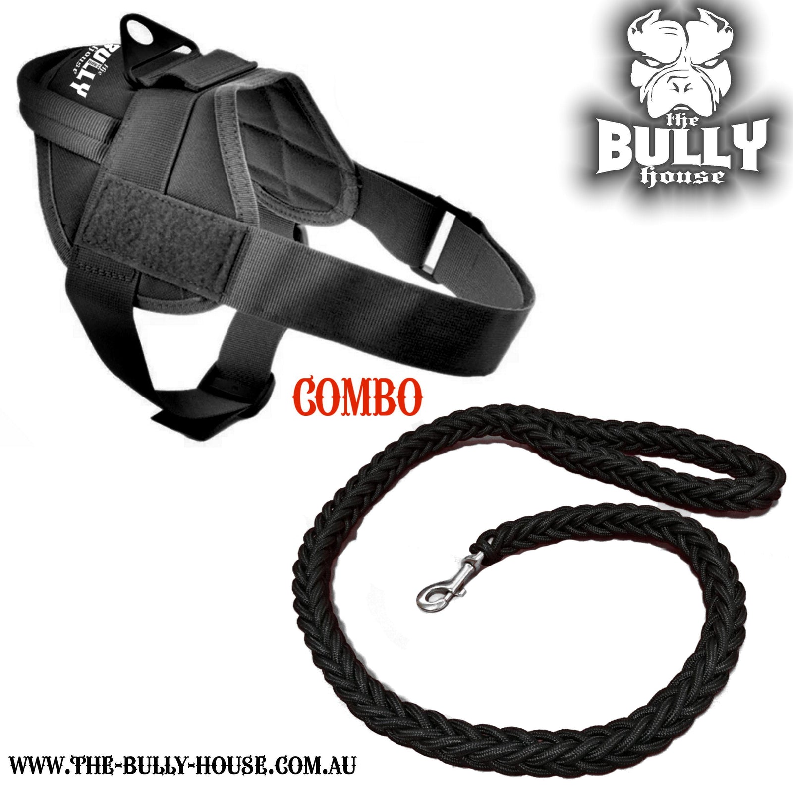 QUICK FIT HARNESS and LEASH COMBO