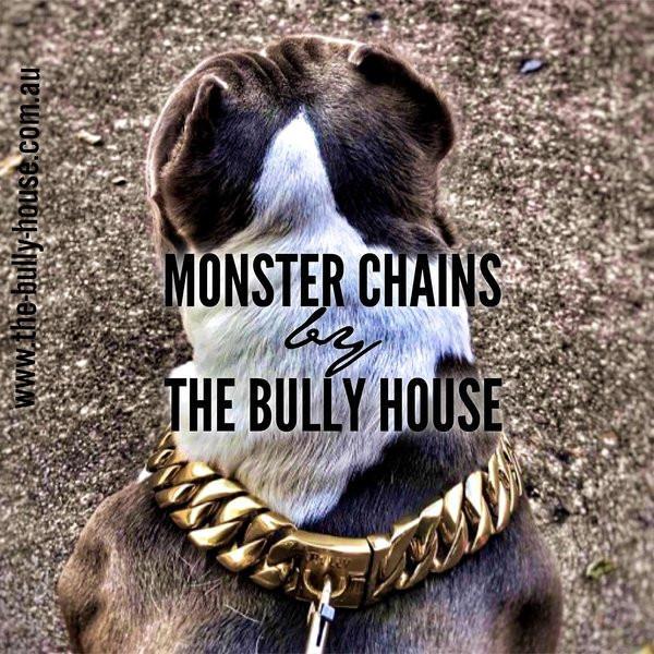 (Pre Order Now - Arriving approx end of DEC) The Bully House "MONSTER CHAIN Collection" GOLD -- 32mm Wide  (Free Post in Aust)