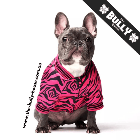 F - Designer - Dog Sweater - COFFEE Colour