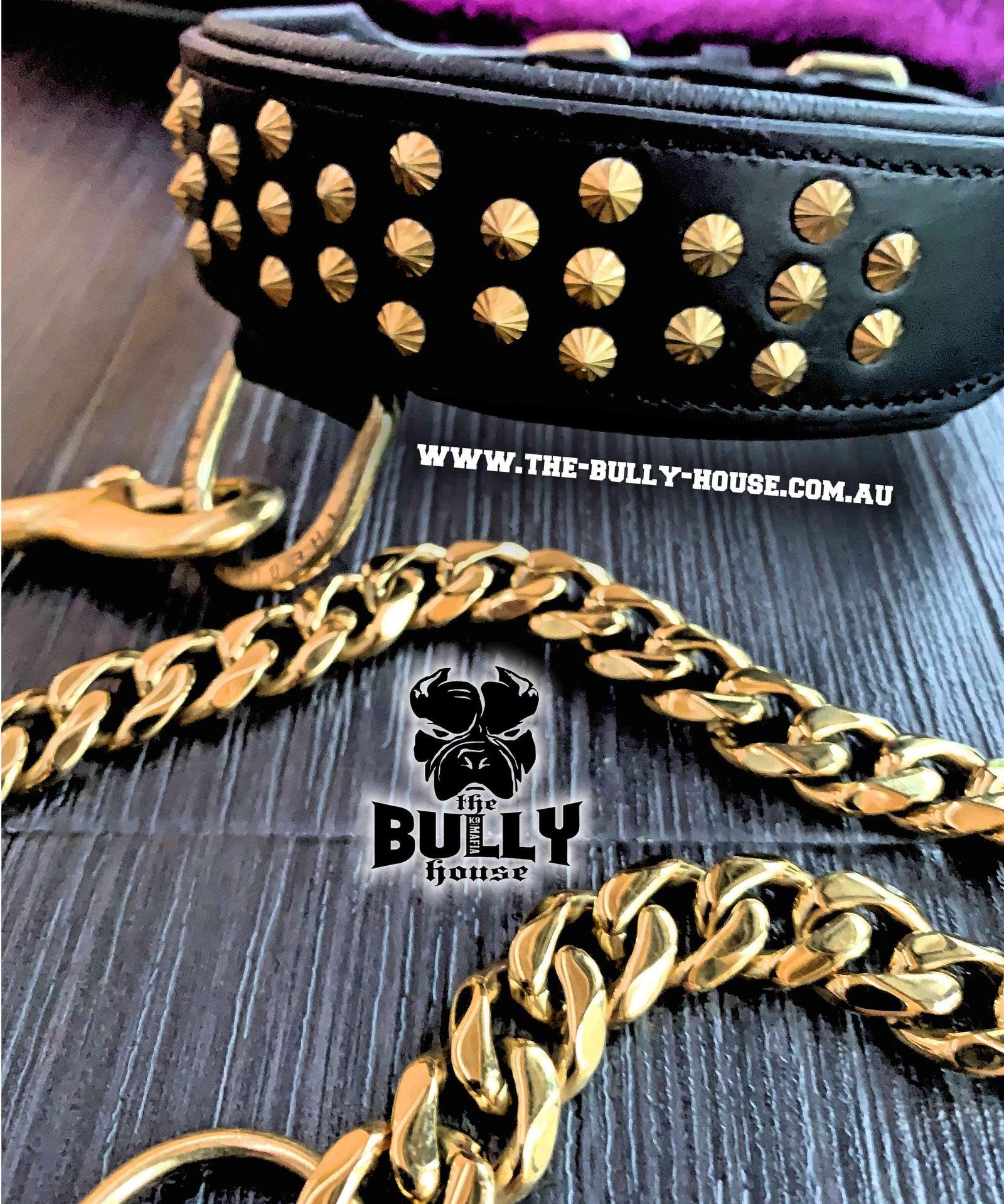 MINI TITAN - Black and Gold - Small Breed and Puppy - FULL Leather