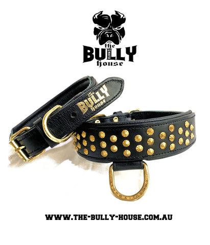 Dog Collar - "TinyTuff" Spiked Leather Collar (SMALL DOG or PUPPY)-- ROGUE ROYALTY (clearance) BLACK