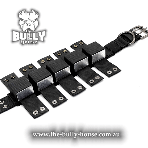Weight Dog Collar - The Bully House
