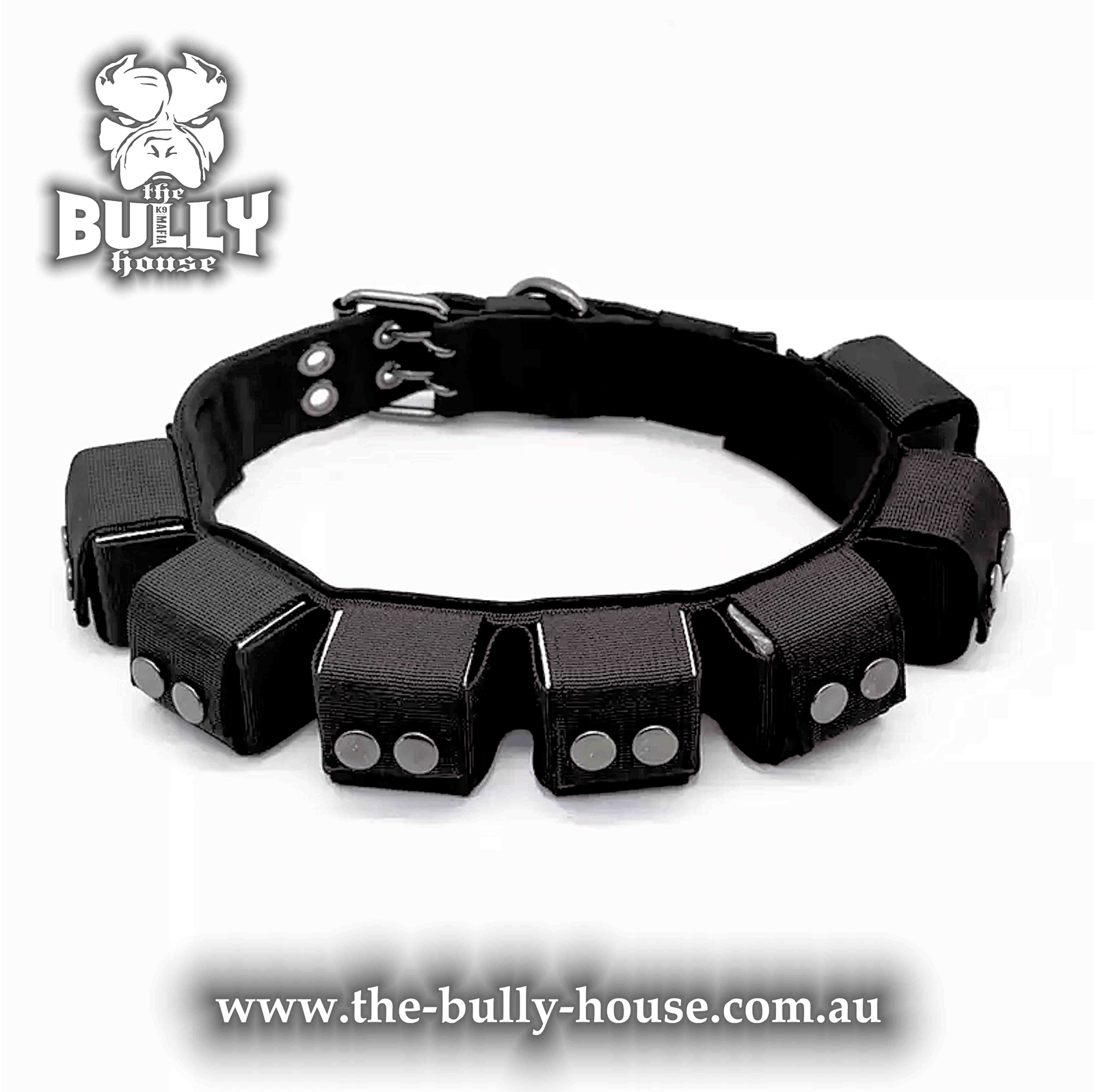 Weight Dog Collar - The Bully House – THE BULLY HOUSE