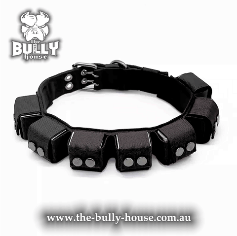 Dog Collar - "TinyTuff" Spiked Leather Collar (SMALL DOG or PUPPY)-- ROGUE ROYALTY (clearance) BLACK